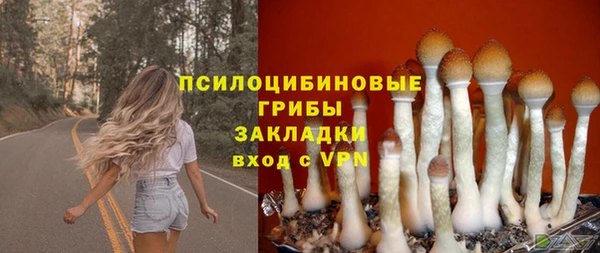 mdpv Беломорск