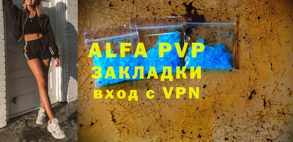 стаф Белокуриха