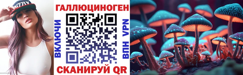Псилоцибиновые грибы Psilocybine cubensis  Мариинский Посад 